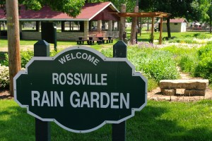 Rossville Rain Garden